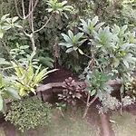 Dewi Ayu Accommodation